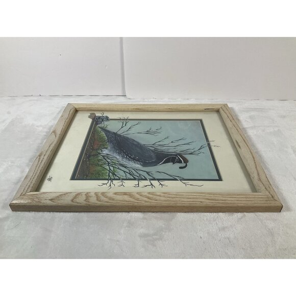 Gambel's Quail by Gerry R Stein 3-D SW Art hand painted One Of A Kind Print - Picture 7 of 9